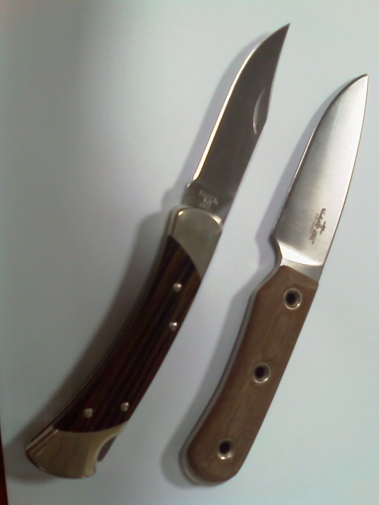 IMAG0161.jpg