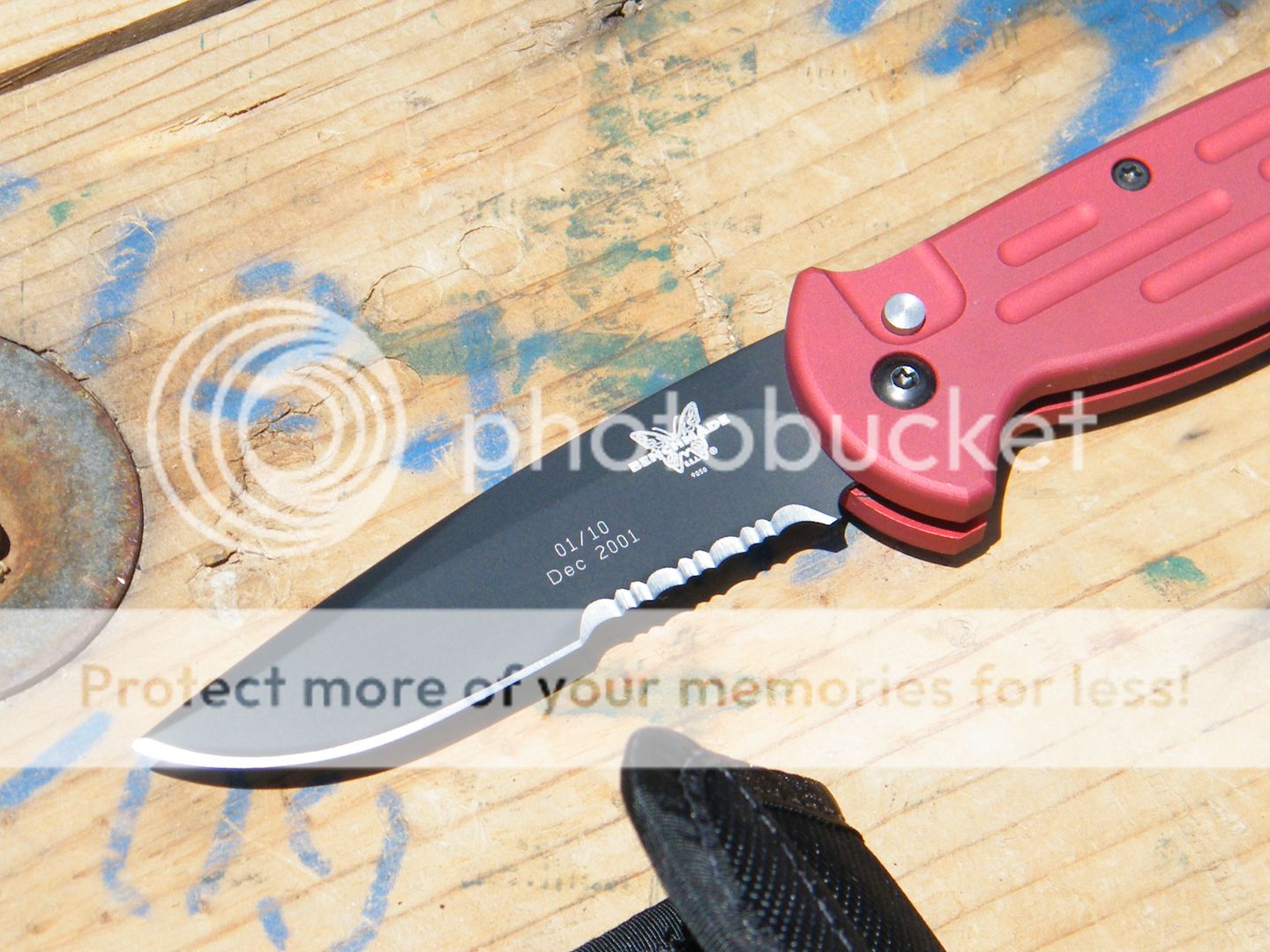 DSCF9209.jpg