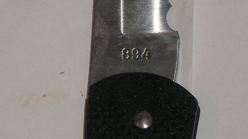 P1010009.jpg