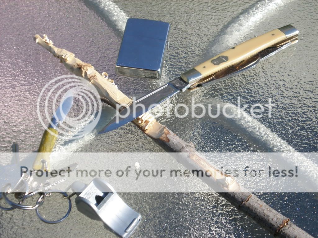 eyebrand002.jpg