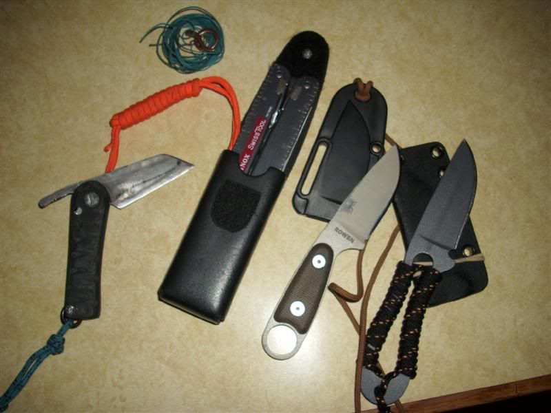 DSCI0525Medium.jpg