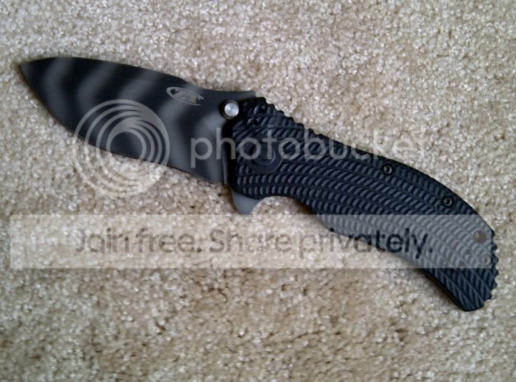 ZT0303-3.jpg