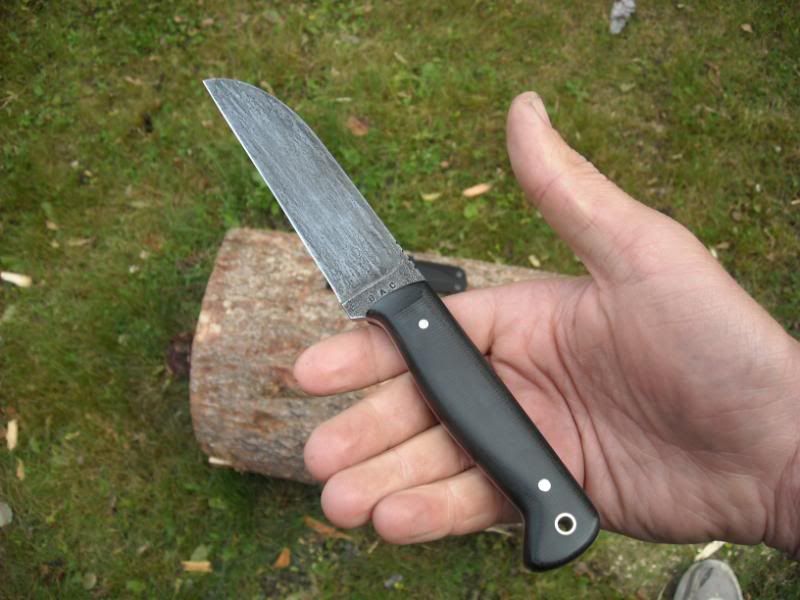 blackwidow004.jpg