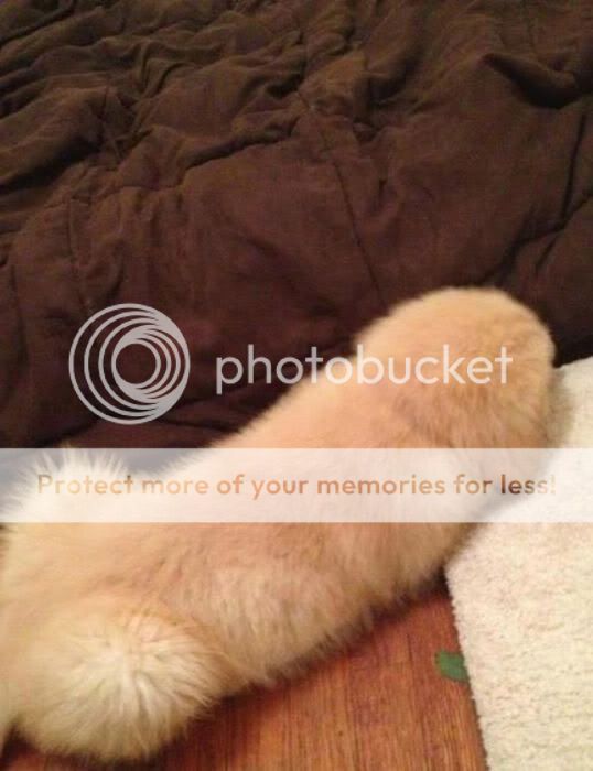puppenis.jpg