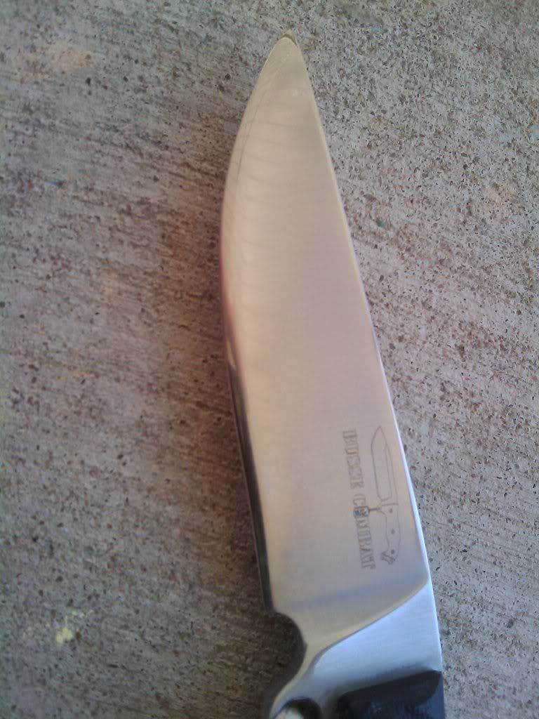 IMAG0146.jpg