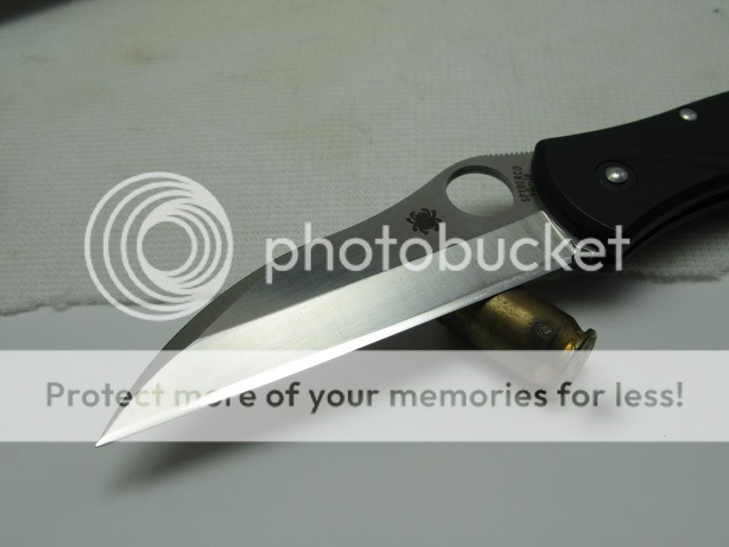 IMG_5924_zps51d3fc32.jpg