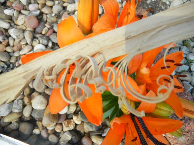 DSCN0476.jpg