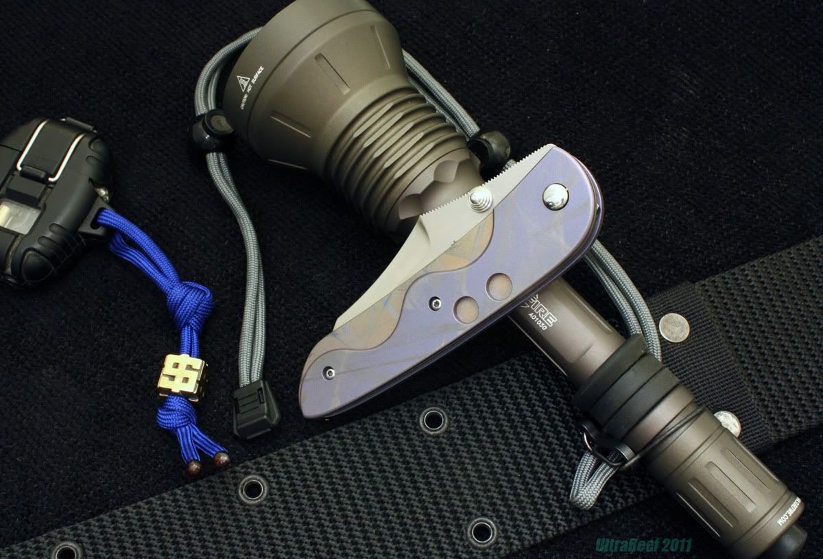 hybrid_2011_03-1a.jpg