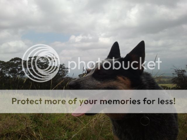 2012-05-21125137.jpg