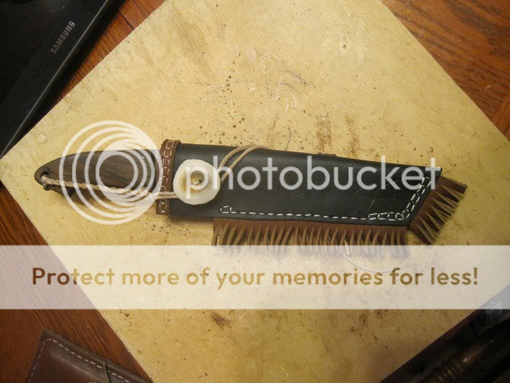 IMG_2584_zps05c6e86b.jpg