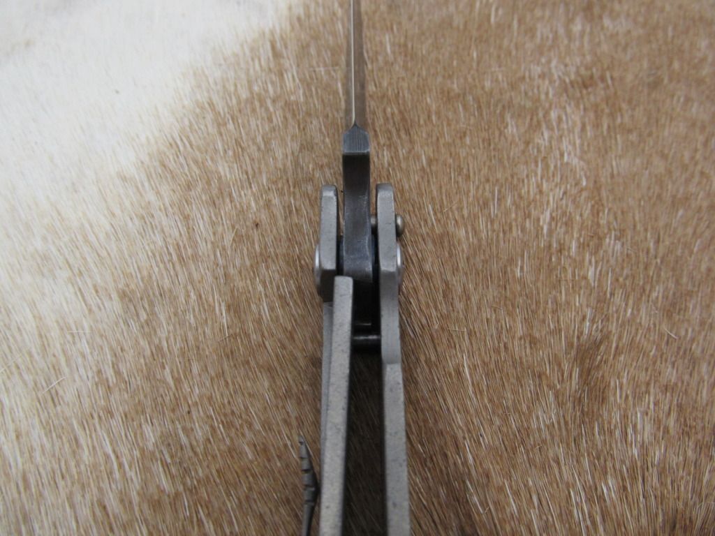 framelockwithsnake002.jpg