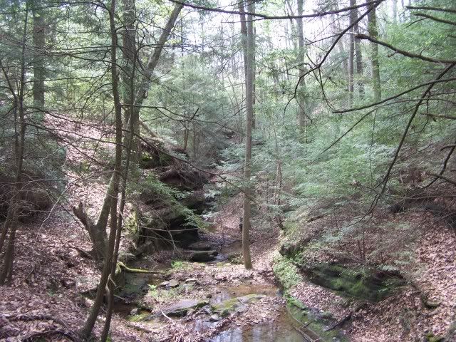 100_2910.jpg