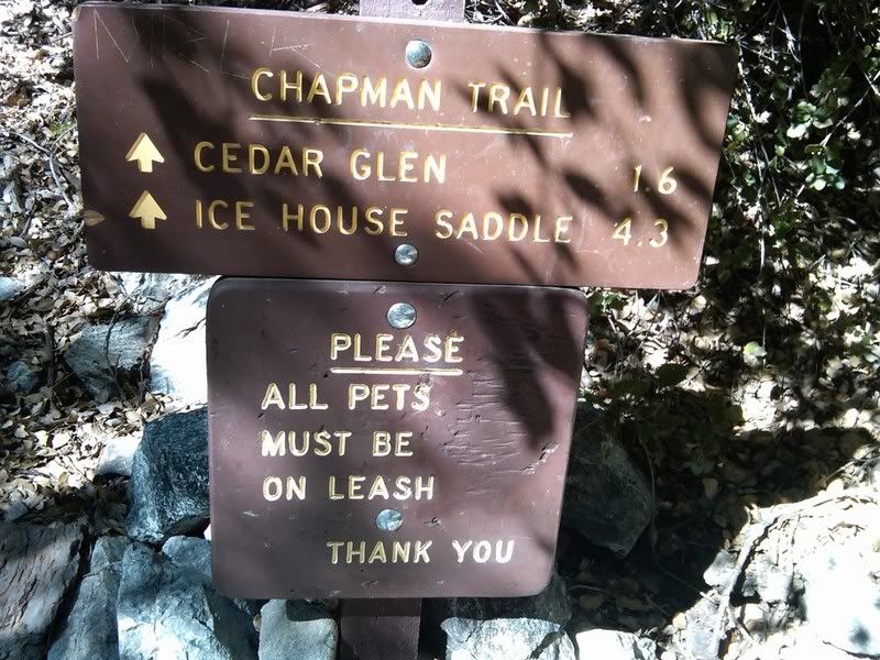 IMG00319-20110209-1323.jpg