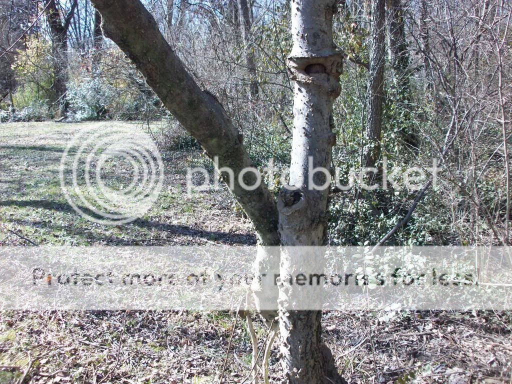 100_1883.jpg