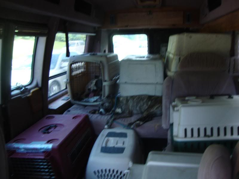 DSC01941.jpg