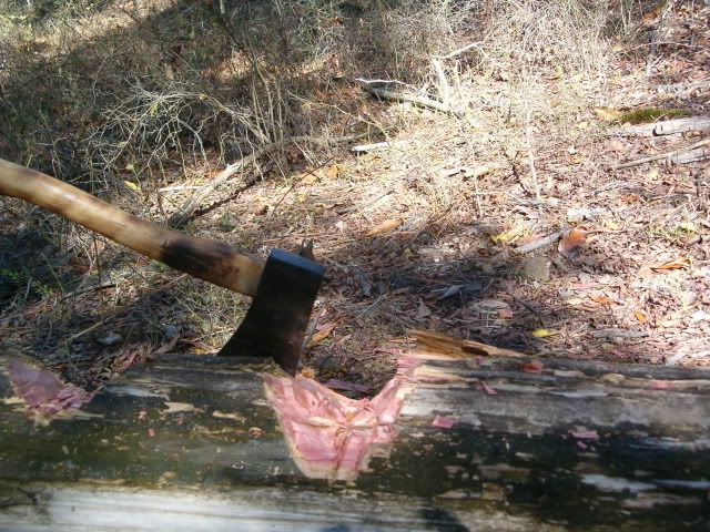 054.jpg