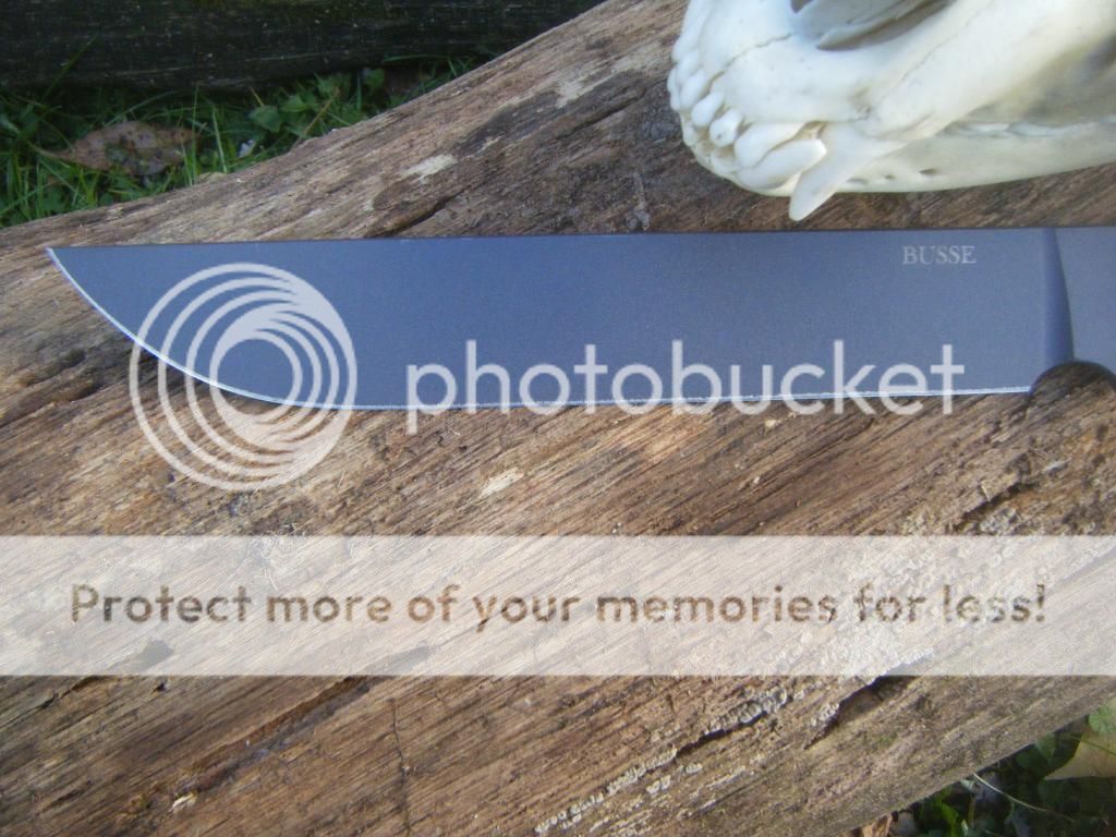 DSCF2076.jpg