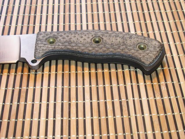 WTT0032.jpg