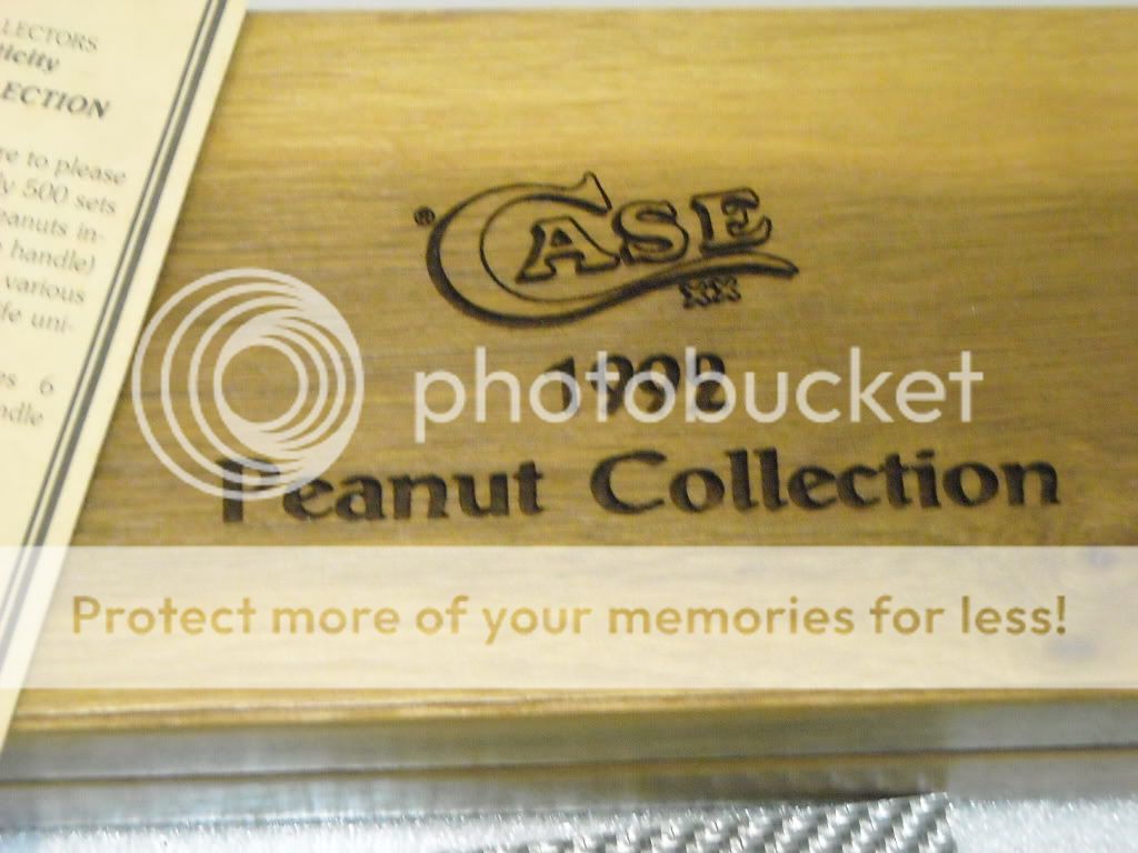 DSCN0359.jpg
