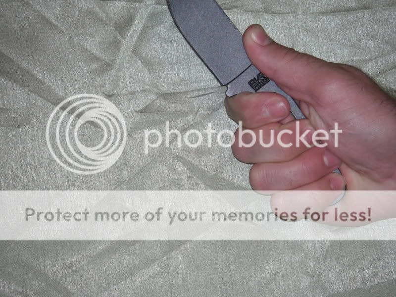esee3vsBK14004.jpg
