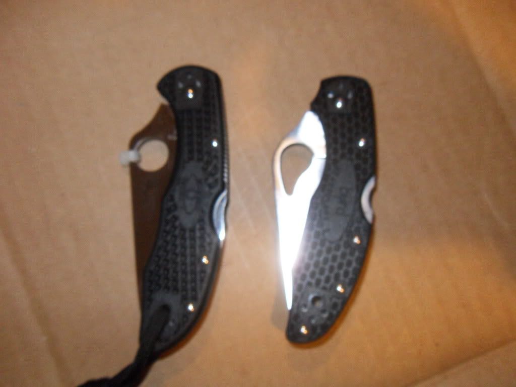 SDC12592.jpg