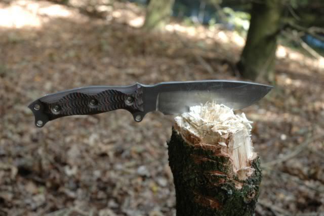 Afbeelding095.jpg