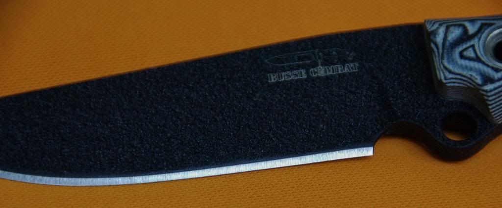 DSC_3013_resize.jpg
