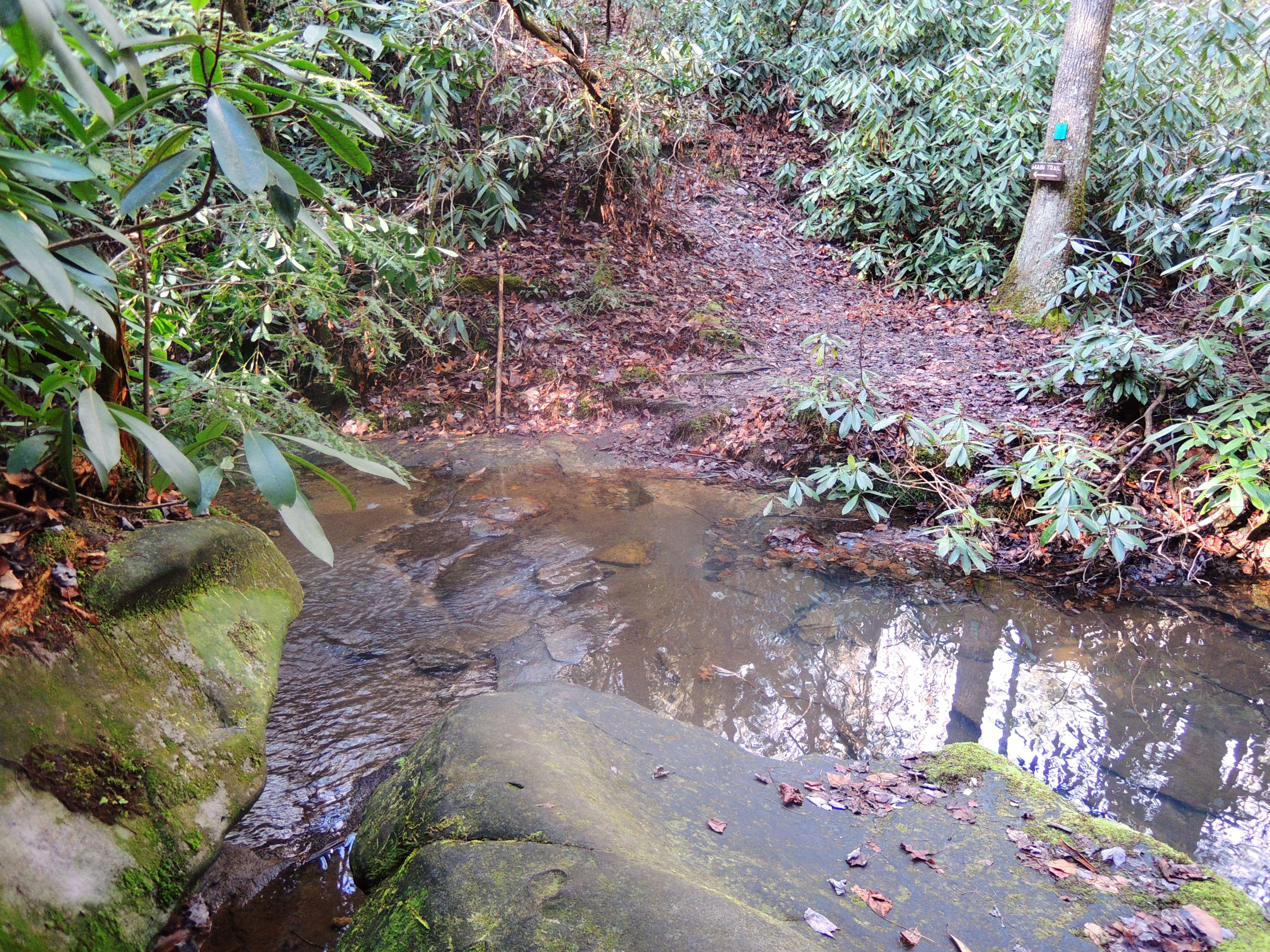 dscn5076t.jpg