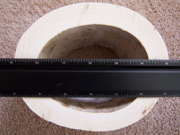 ivory1.jpg