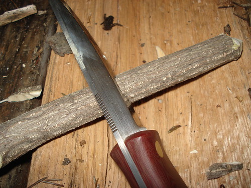 12040332466_d29eece384.jpg