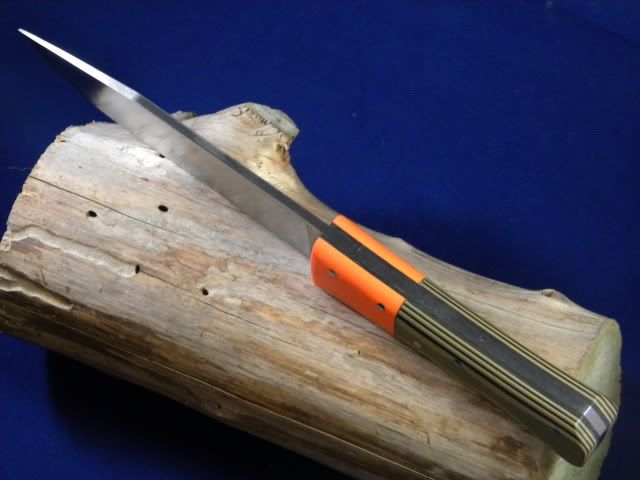 DSCN1364.jpg