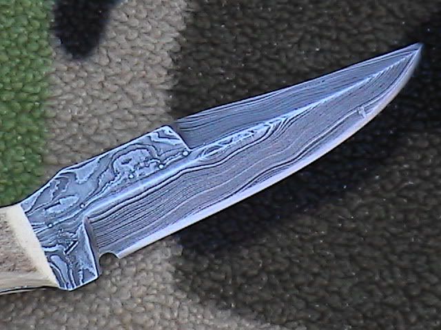 darcifk1.jpg