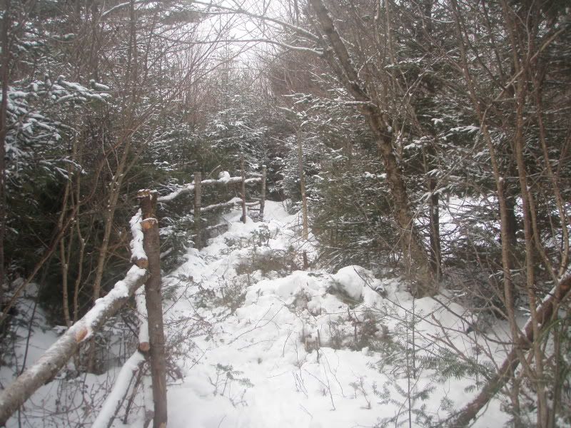 P1202795.jpg