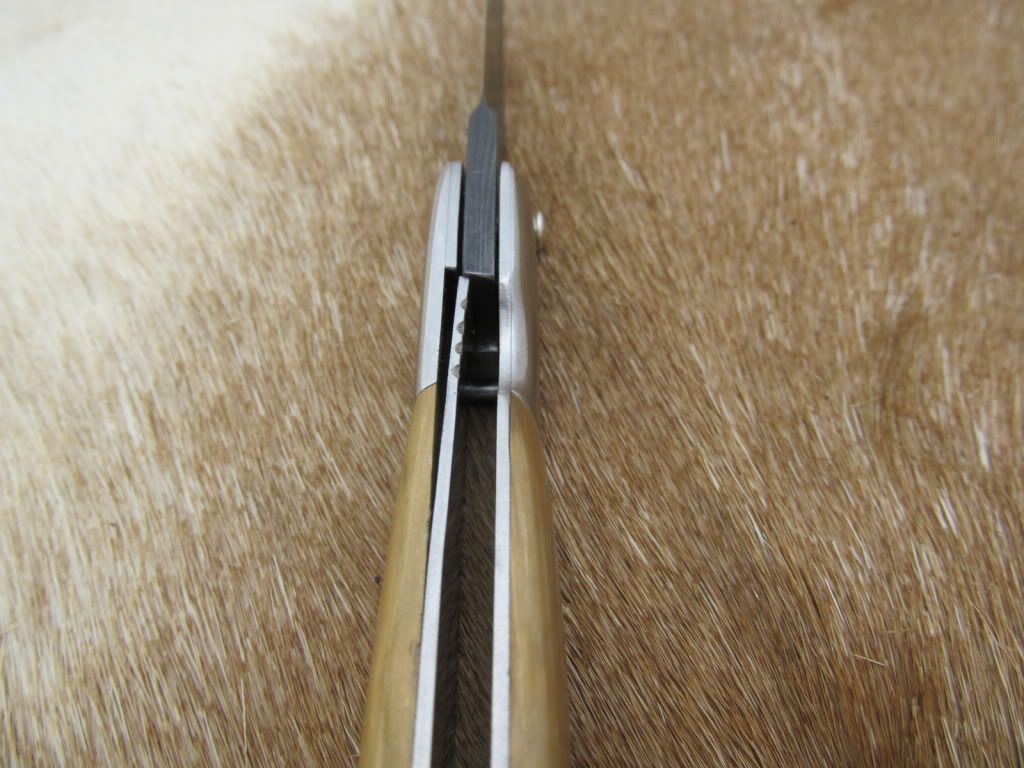 mammothfolders022.jpg
