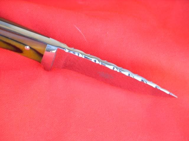 SS850075.jpg