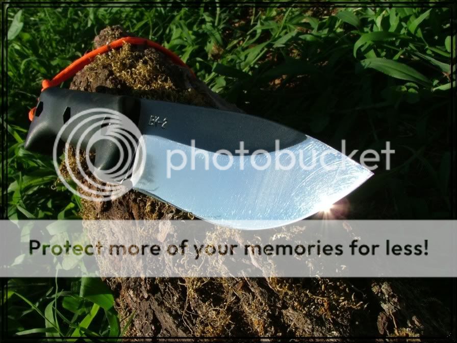 DSCF3725.jpg