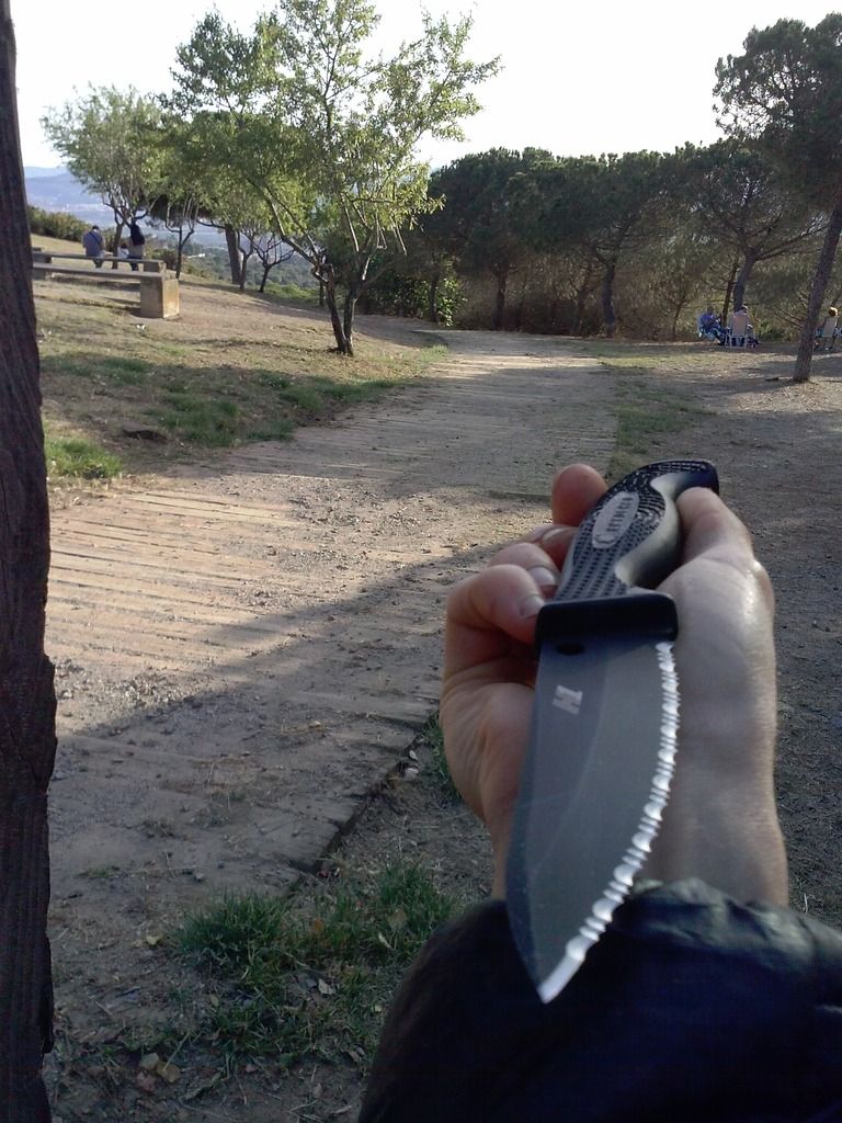 CAM01839_zpsp3fswdek.jpg
