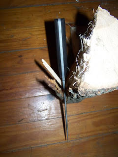 100_7953.JPG