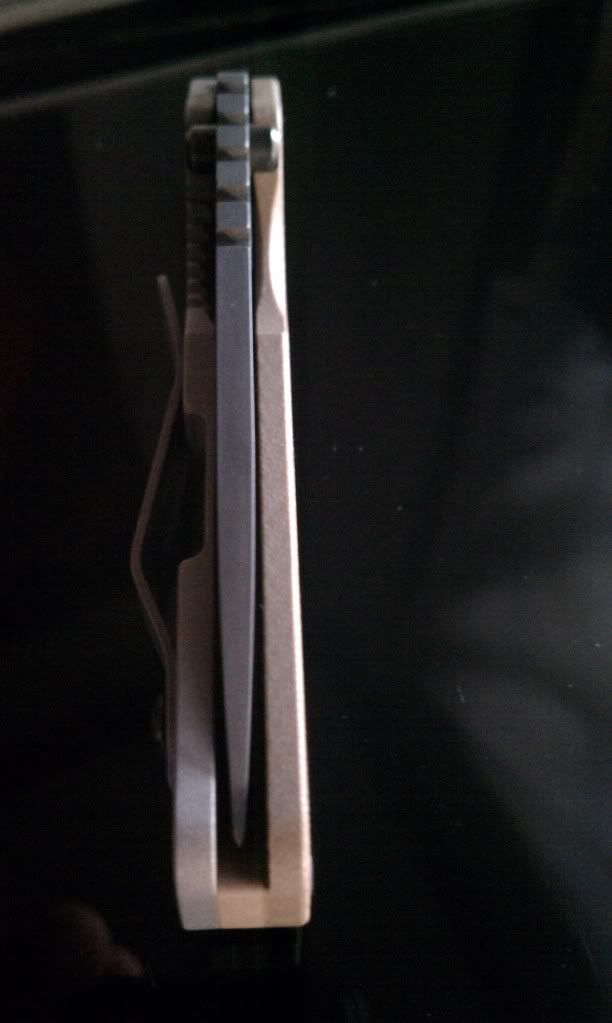 IMAG0409.jpg