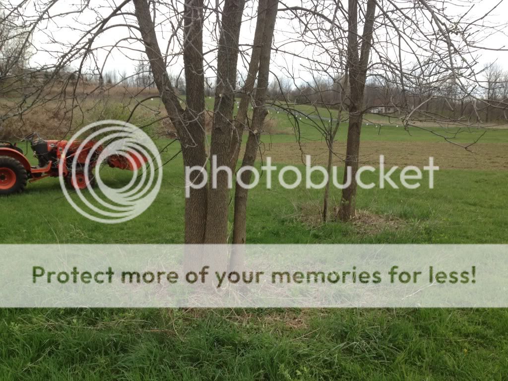 photo-21.jpg