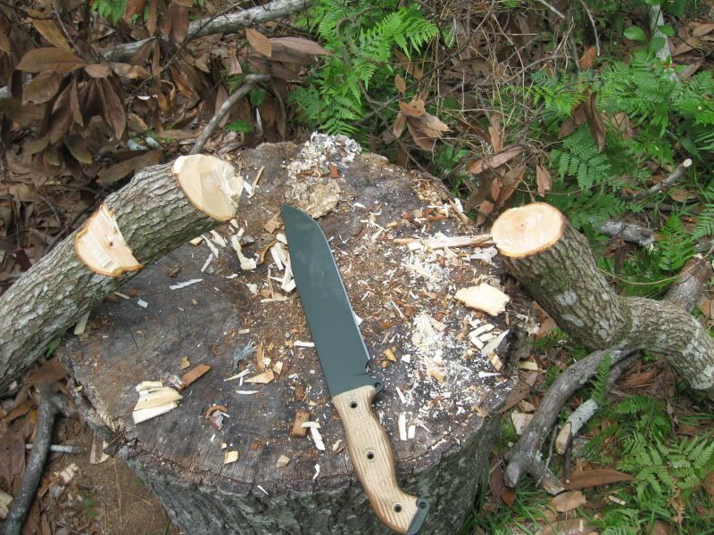 Junglas015.jpg