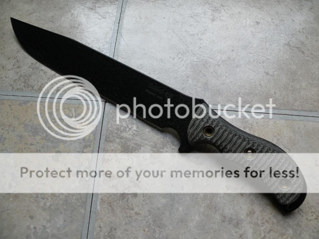 DSCN0771.jpg