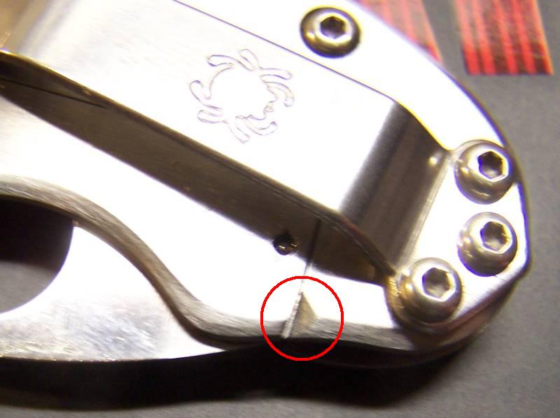 cricket_detail_02.jpg