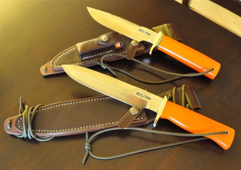 orangepairslantmed.jpg