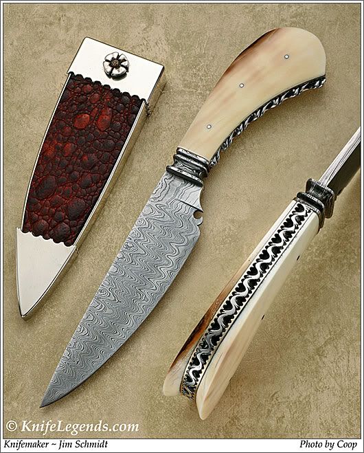 Schmidt_Fancy20Fossil20FB-w.jpg