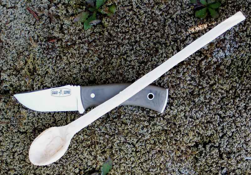 Spoon_Aprod4.jpg