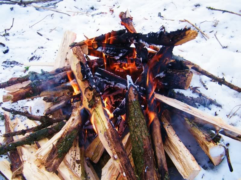 Bushcraft016.jpg