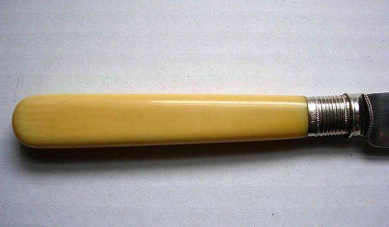 IXL023.jpg