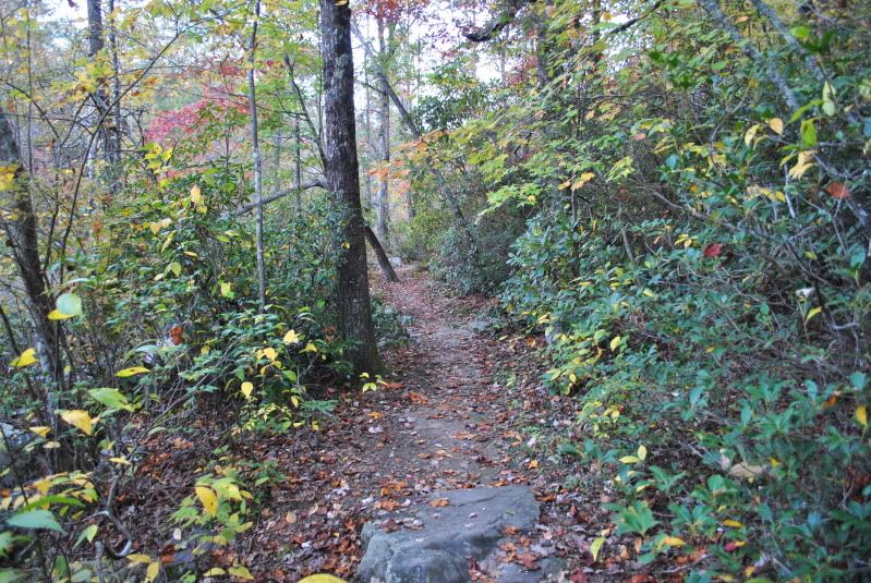 DSC_7907.jpg