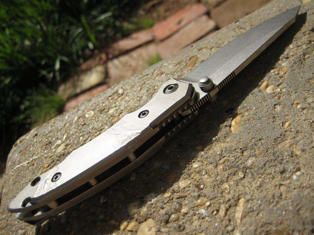 img3156large.jpg